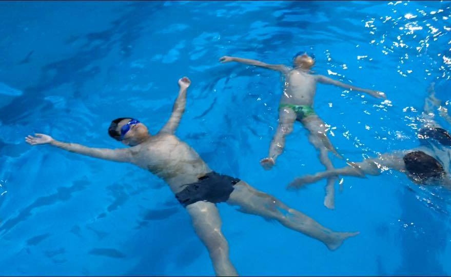 13557708_506154986260085_1183727409628046493_n