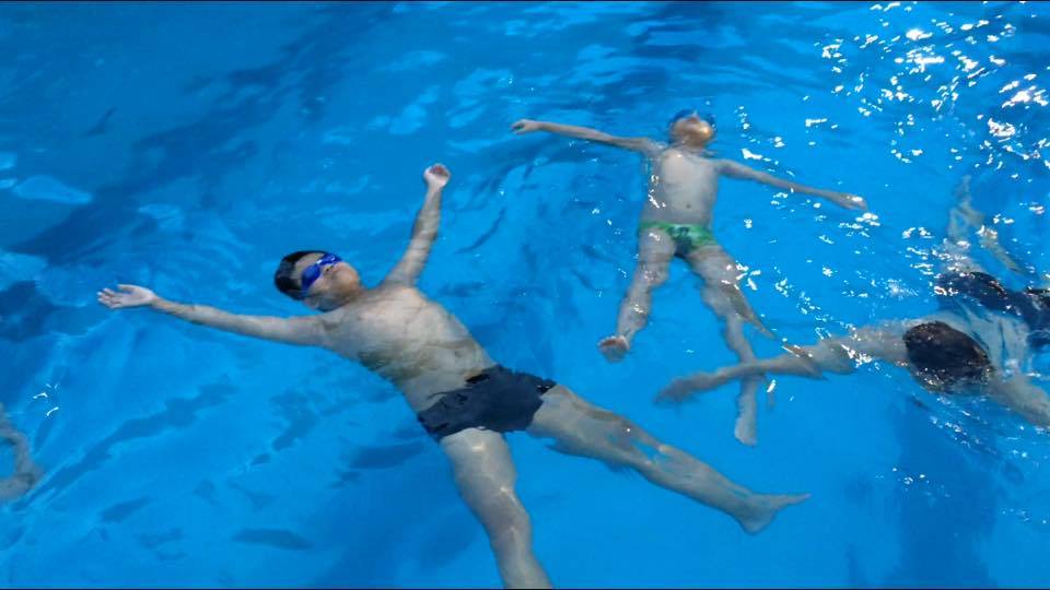 13557708_506154986260085_1183727409628046493_n