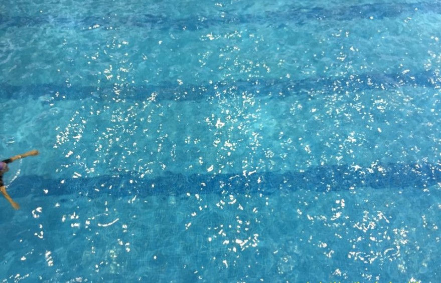 11377106_1593984374200156_8230268431629618973_n