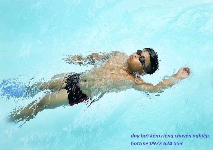 146407789748_9452908