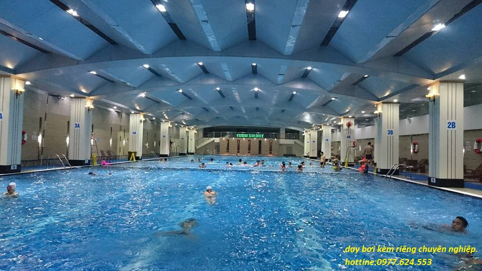 13124919_539858616186587_2493310107873924752_n