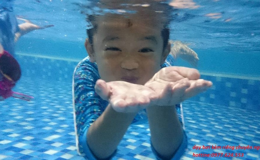 13177114_539858702853245_7889048580153487998_n